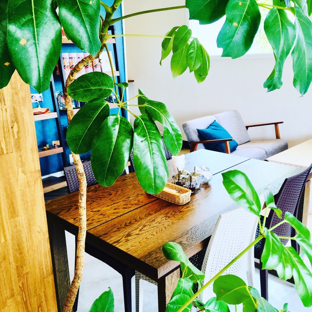 0E7FBE24-B241-4BCB-90D4-376AEEC5CB4D