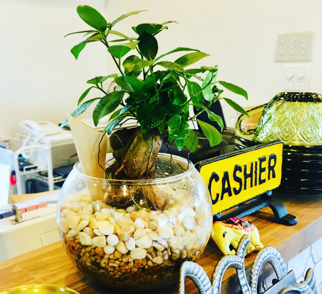 44E95913-4245-42E7-8447-D68403688140